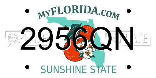 2956QN Florida License Plate