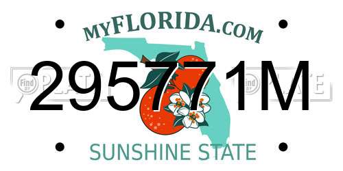 295771M Florida License Plate