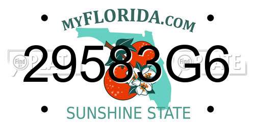 29583G6 Florida License Plate