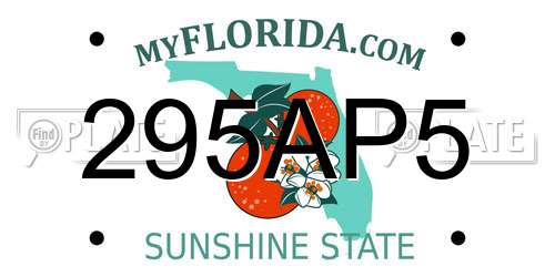 295AP5 Florida License Plate