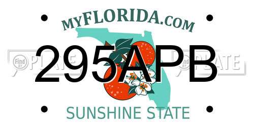 295APB Florida License Plate