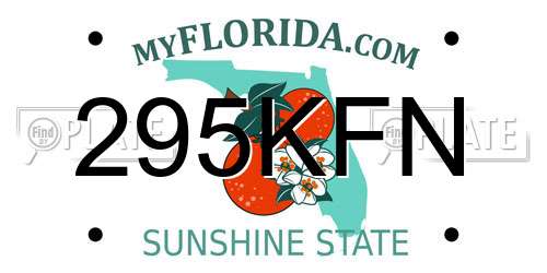 295KFN Florida License Plate