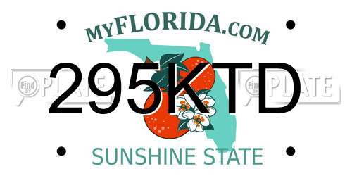295KTD Florida License Plate
