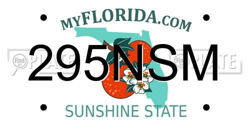 295NSM Florida License Plate