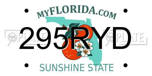 295RYD Florida License Plate