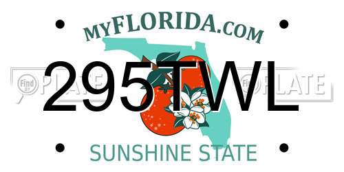 295TWL Florida License Plate