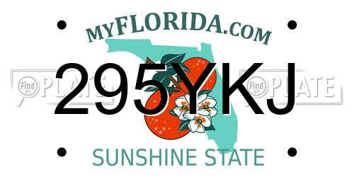 295YKJ Florida License Plate