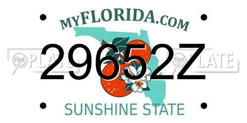 29652Z Florida License Plate
