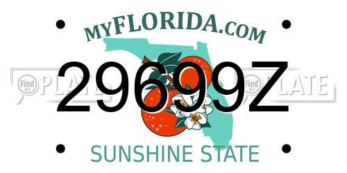 29699Z Florida License Plate