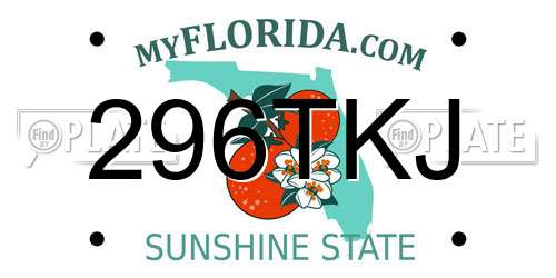296TKJ Florida License Plate