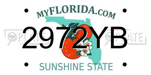 2972YB Florida License Plate