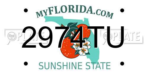 2974TU Florida License Plate