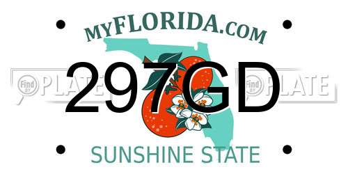 297GD Florida License Plate