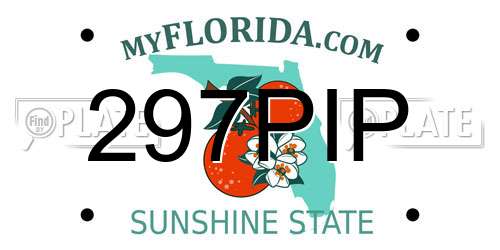 297PIP Florida License Plate