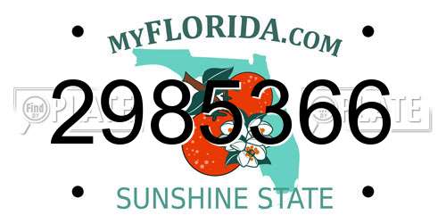 2985366 Florida License Plate