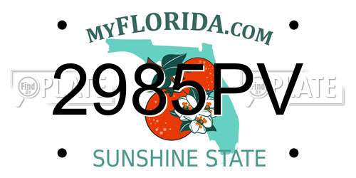 2985PV Florida License Plate