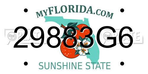 29883G6 Florida License Plate