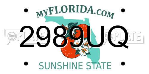 2989UQ Florida License Plate