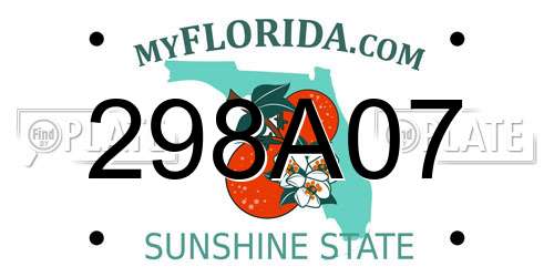 298A07 Florida License Plate