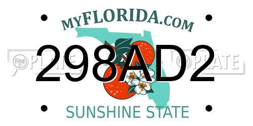 298AD2 Florida License Plate