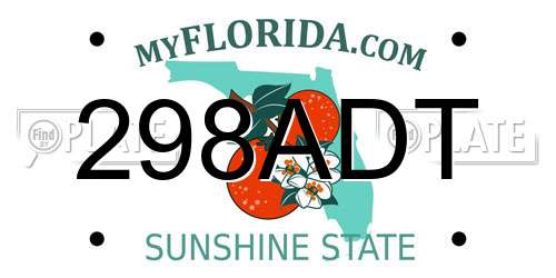 298ADT Florida License Plate