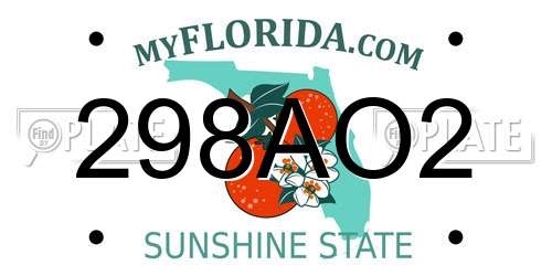 298AO2 Florida License Plate