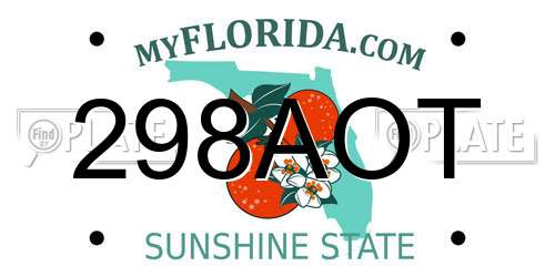 298AOT Florida License Plate