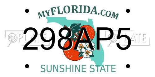 298AP5 Florida License Plate