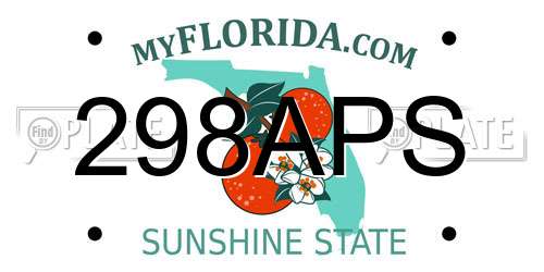 298APS Florida License Plate