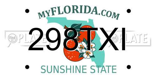 298TXI Florida License Plate