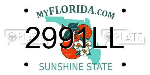 2991LL Florida License Plate