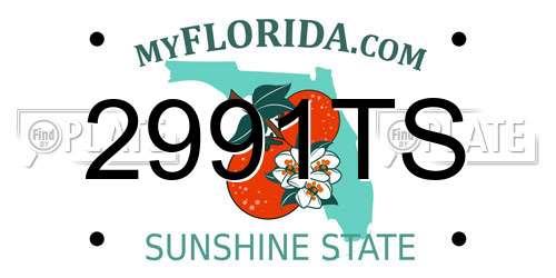 2991TS Florida License Plate