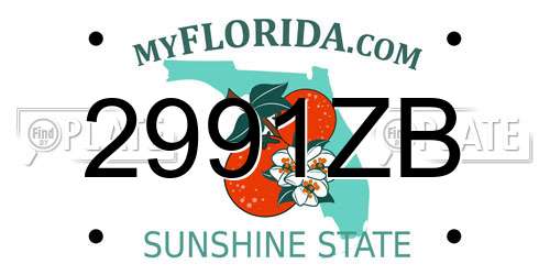 2991ZB Florida License Plate