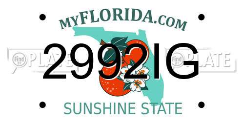 2992IG Florida License Plate