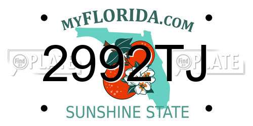 2992TJ Florida License Plate