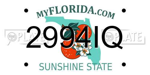 2994IQ Florida License Plate
