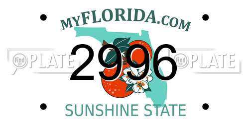 2996 Florida License Plate