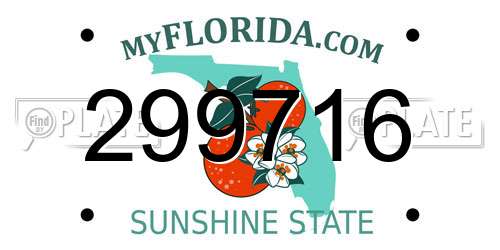 299716 Florida License Plate