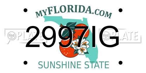 2997IG Florida License Plate