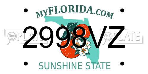 2998VZ Florida License Plate