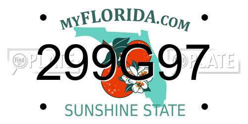 299G97 Florida License Plate