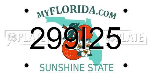299I25 Florida License Plate