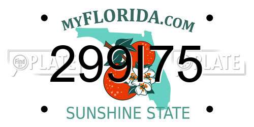 299I75 Florida License Plate