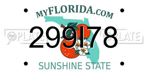 299I78 Florida License Plate