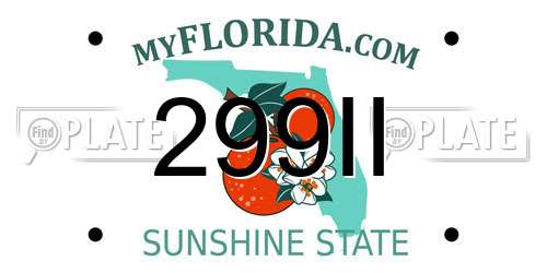 299II Florida License Plate