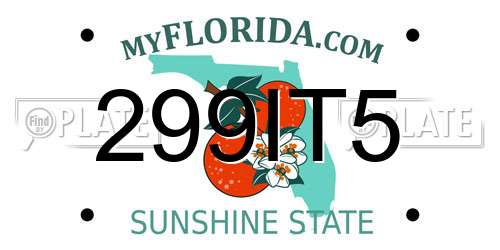 299IT5 Florida License Plate