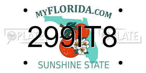299IT8 Florida License Plate
