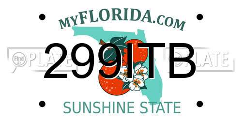 299ITB Florida License Plate