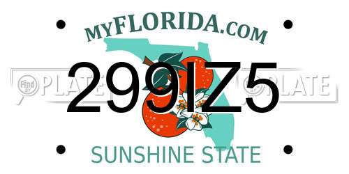 299IZ5 Florida License Plate