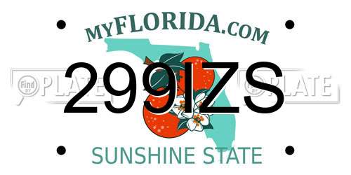 299IZS Florida License Plate